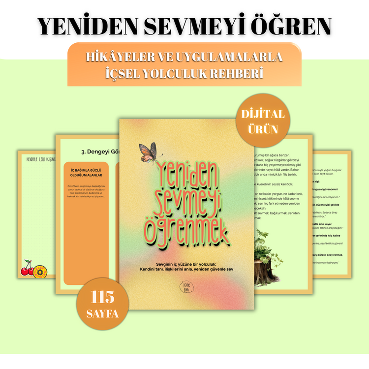 Yeniden Sevmeyi Öğrenmek