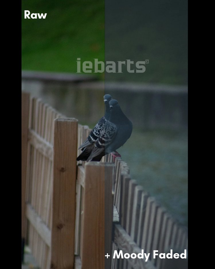 iebarts Starter Pack