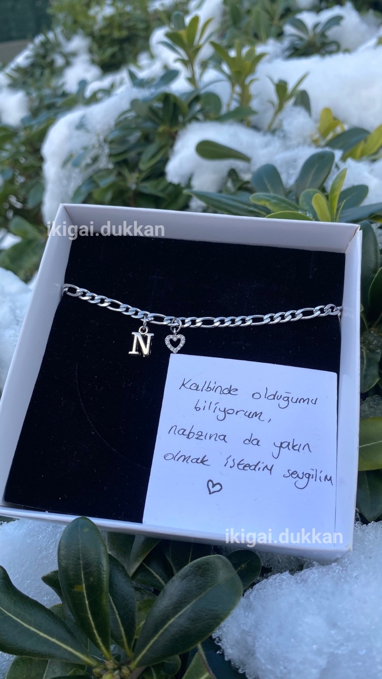 Harfli Çelik Ikigai Bilekliği (Silver)