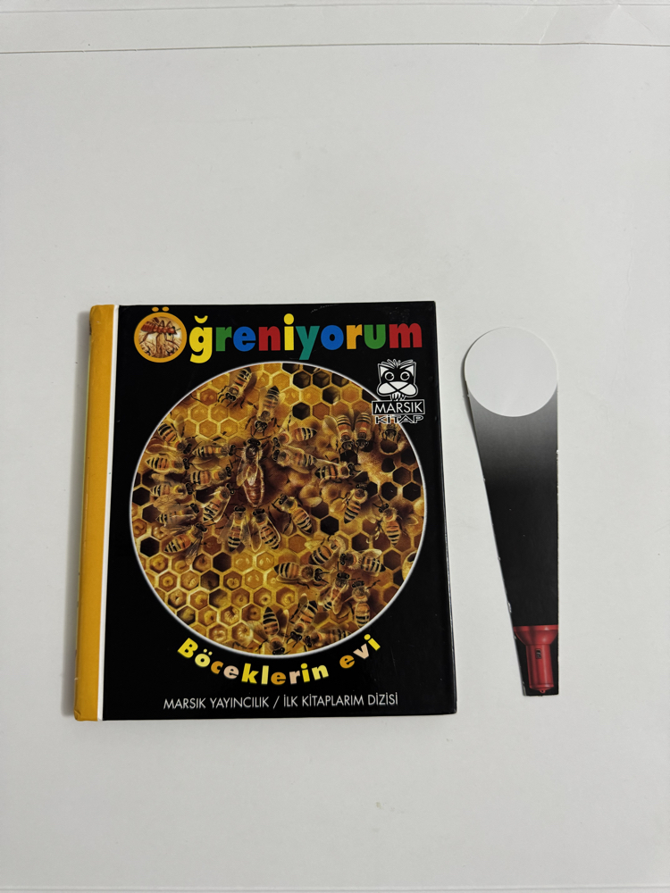Öğreniyorum Böcekler Evi