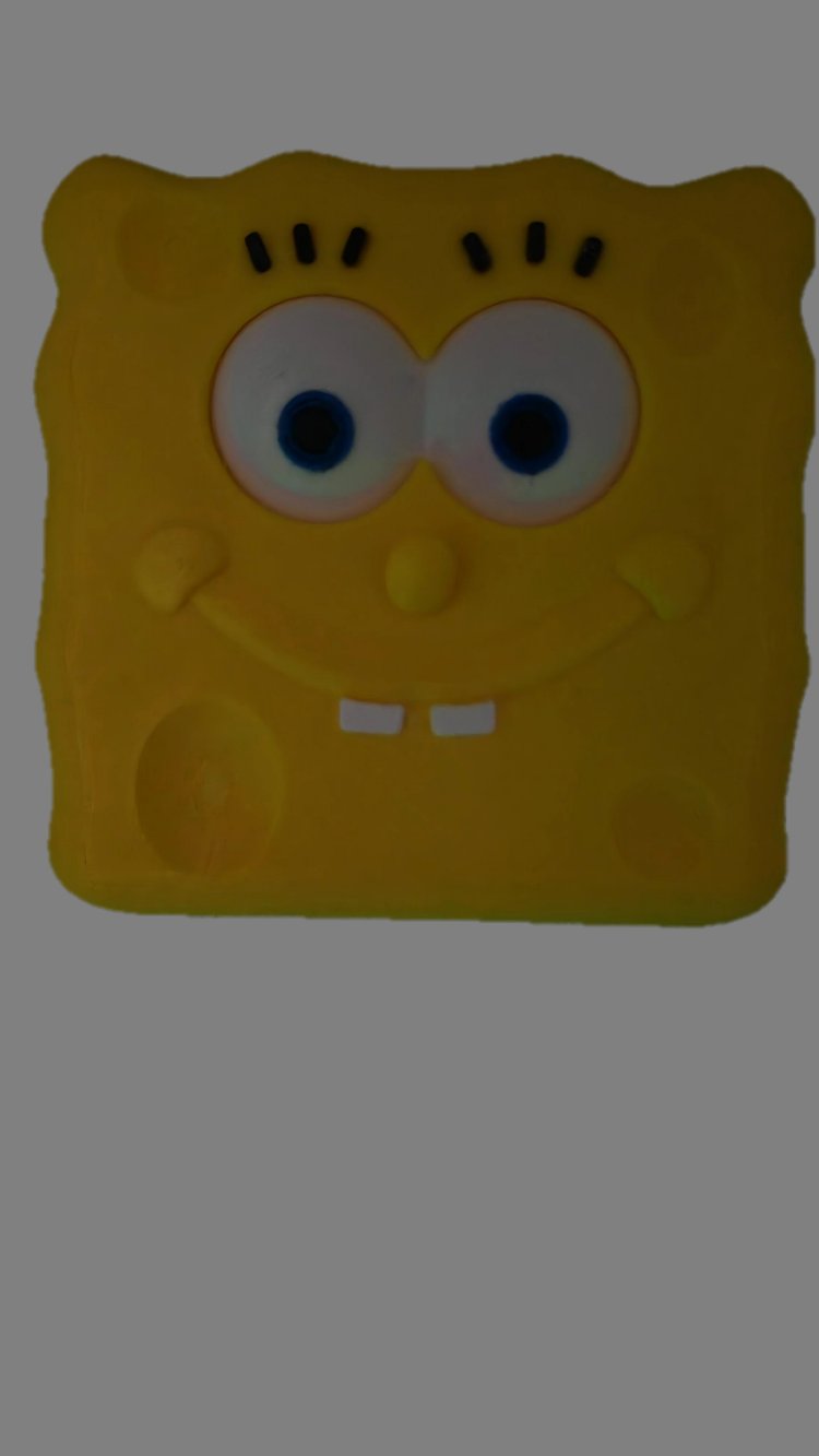 Sponge Bob Lamba Aç Kapat Anahtar Kapak Seti