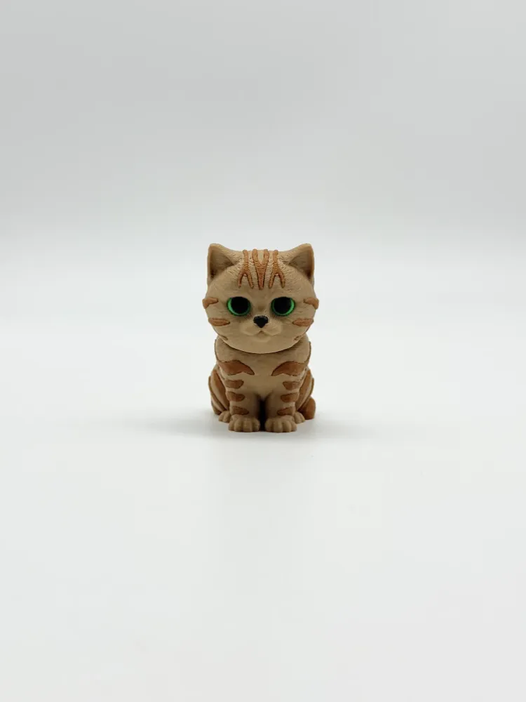 Tekir Kedi ve Oyuncu Çantalı Kedi Charm Anahtarlık ve Oyuncak Seti