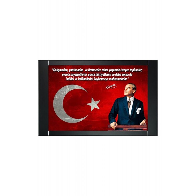 Resimli Atatürk panosu