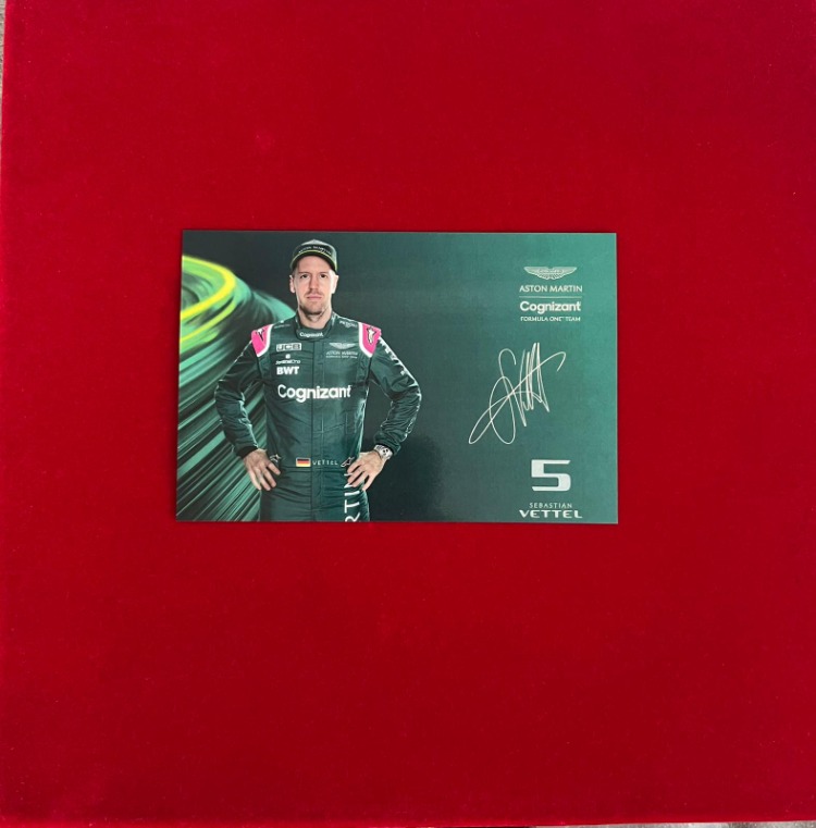 Sebastian Vettel Aston Martin Sürücü Kartı