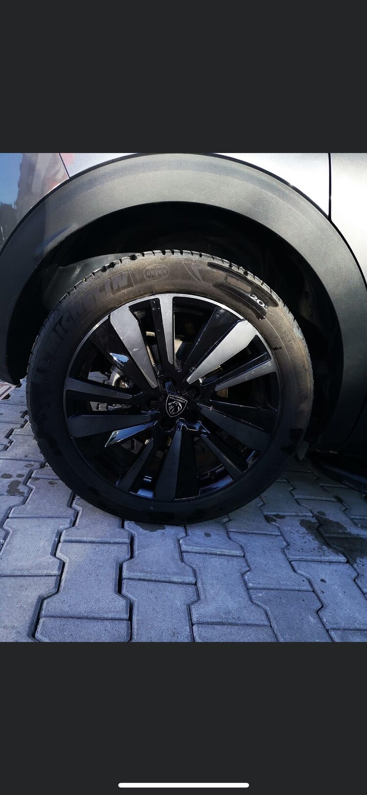 Peugeot Ahtapot Jant Göbeği Black Blue Takım