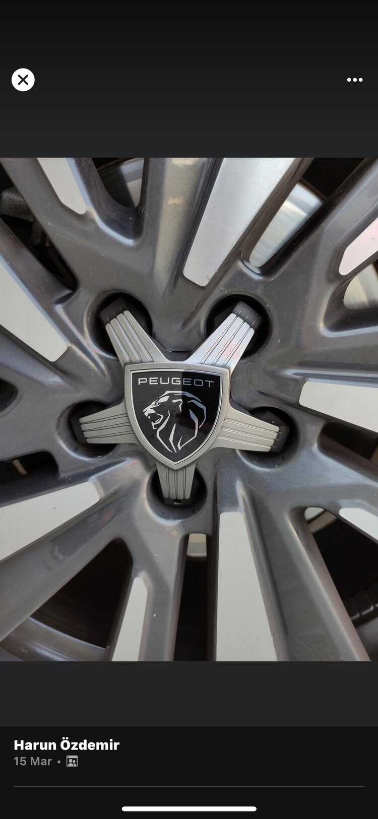Peugeot Ahtapot Jant Göbeği Grey Takım