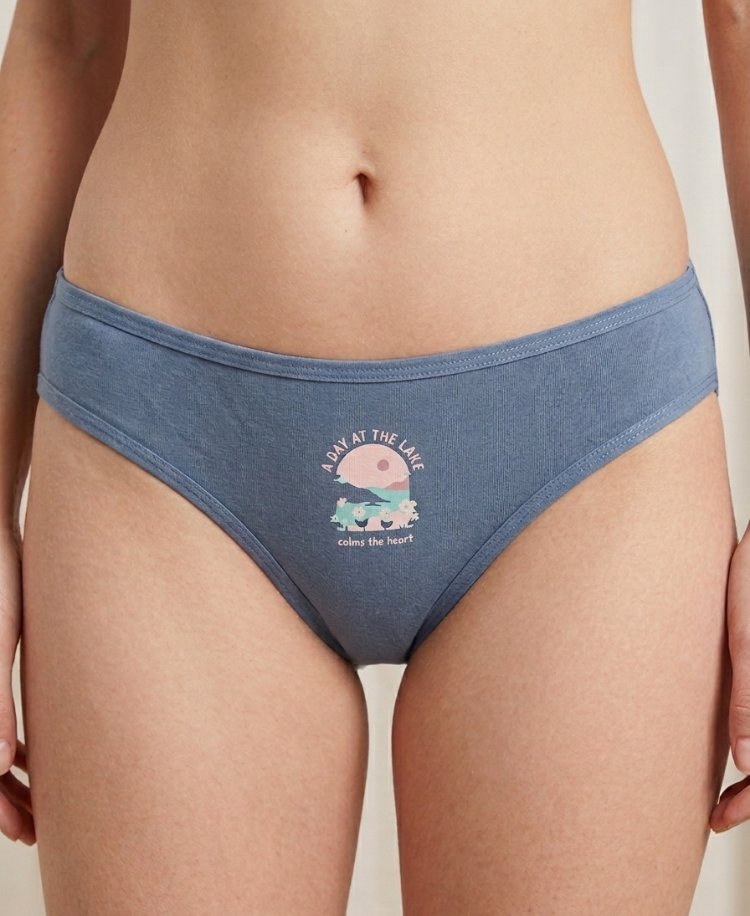 5 li Pamuklu Kadın Slip Külot