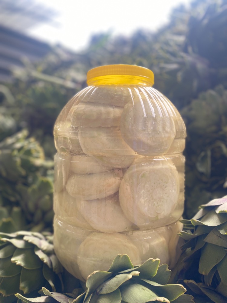 100 Adet Çanak Enginar Taze Soyum