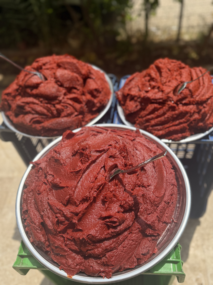1 kg Domates Salçası