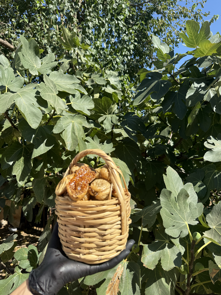6 kg Büyük Çatlak Dağ İnciri 