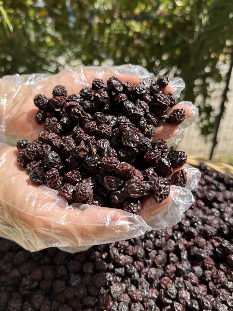500 Gr Vişne Kurusu 