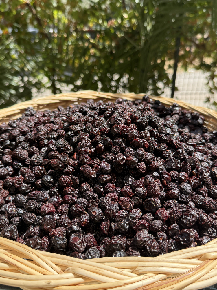 500 Gr Vişne Kurusu 