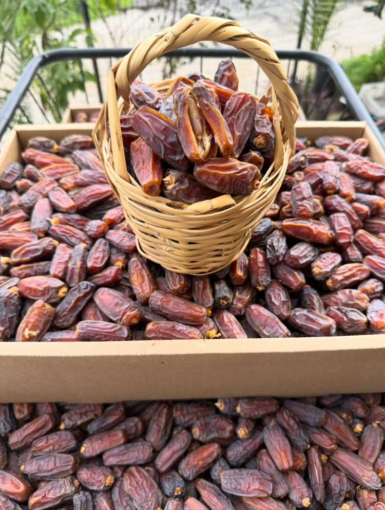 1 kg Mebrum Medine (duble) Hurması