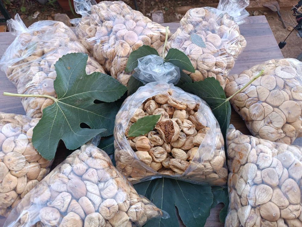 1 kg Büyük boy yeni mahsül dağ inciri