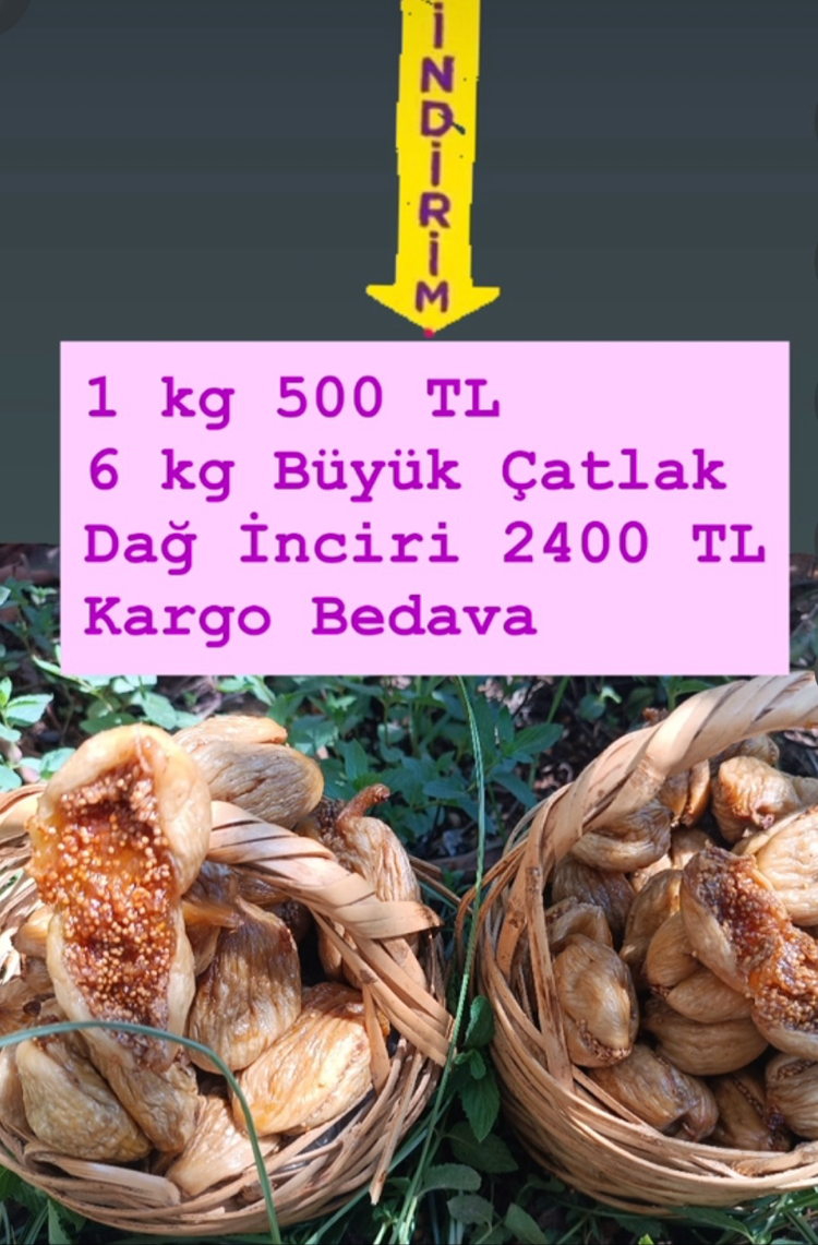 6 kg Büyük Çatlak Dağ İnciri 
