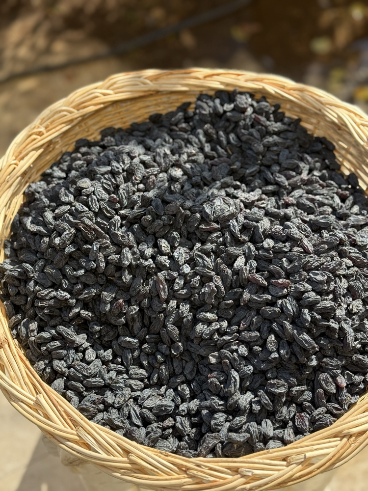 500 Gr Çekirdeksiz Özbek Üzümü 