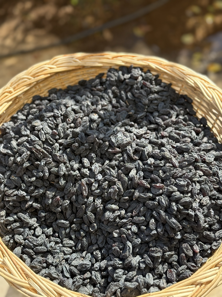 1 kg Çekirdeksiz Özbek Üzümü