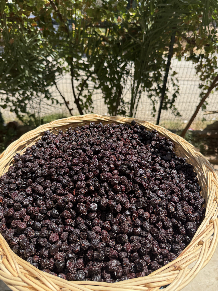 500 Gr Vişne Kurusu 