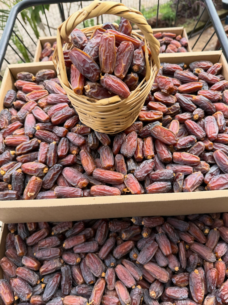 1 kg Mebrum Medine (duble) Hurması