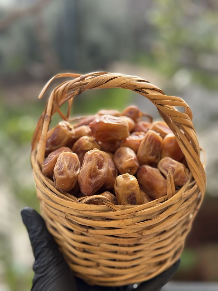 3 kg Zahidi Hurma