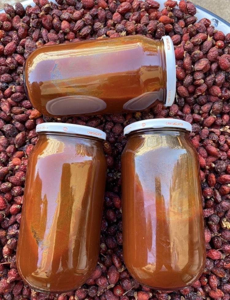 750  gr cam şişe kuşburnu marmelatı