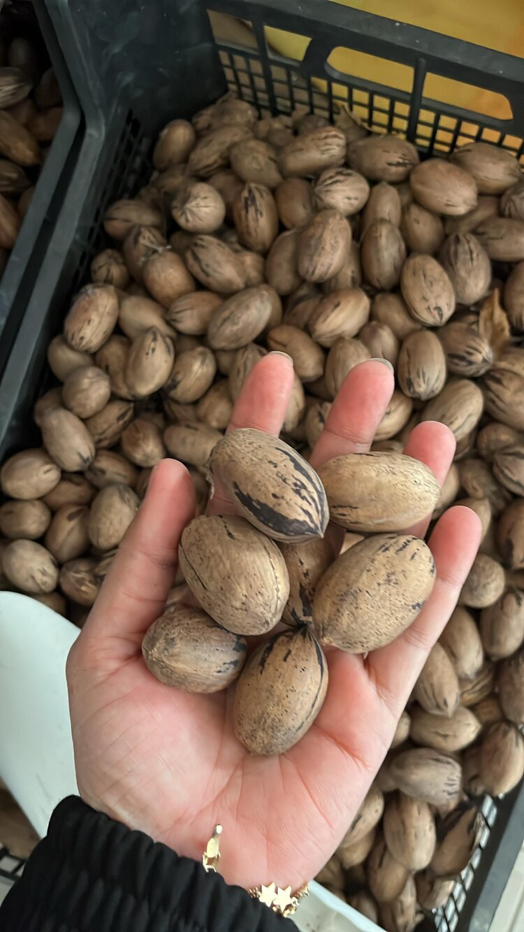 1 kg Yerli pikan cevizi