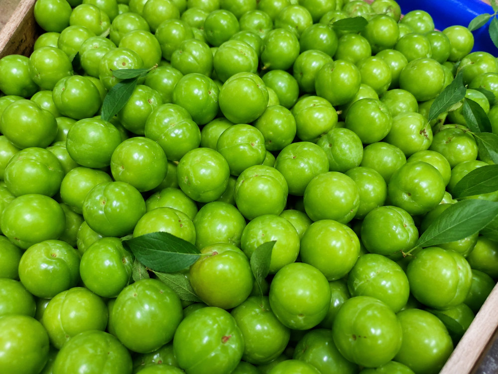 1 kg papaz eriği