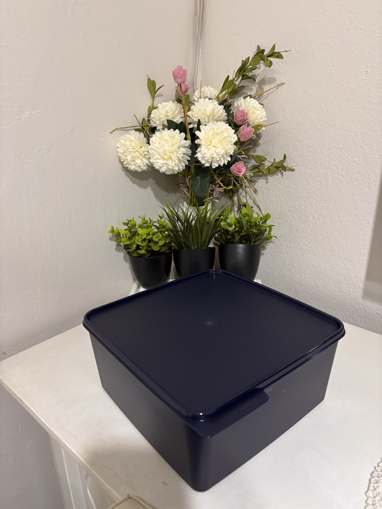 Tupperware kare 5 Lt