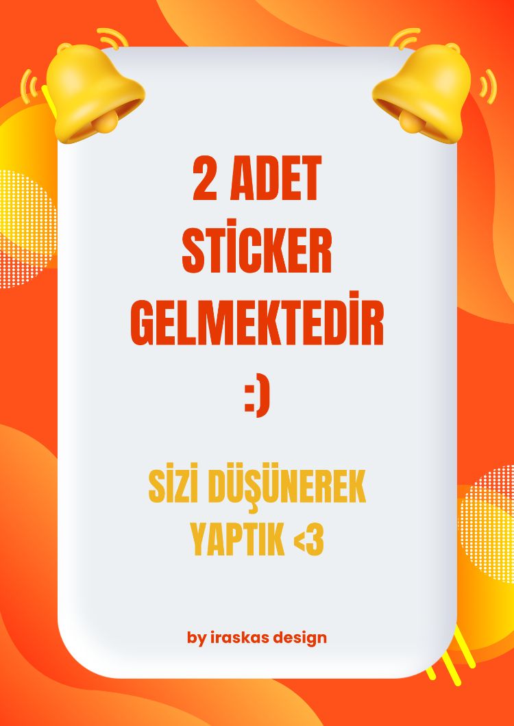 2'li Lilo & Stitch Sticker Seti