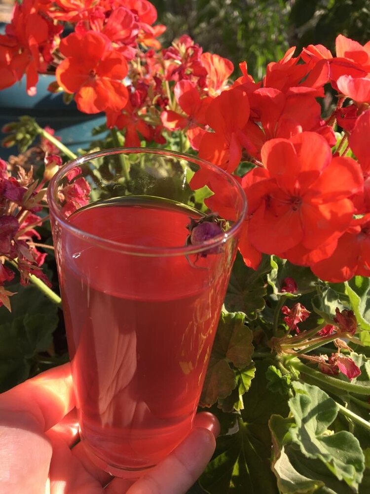 Osmanlı Gül şurubu şekersiz 500 ml