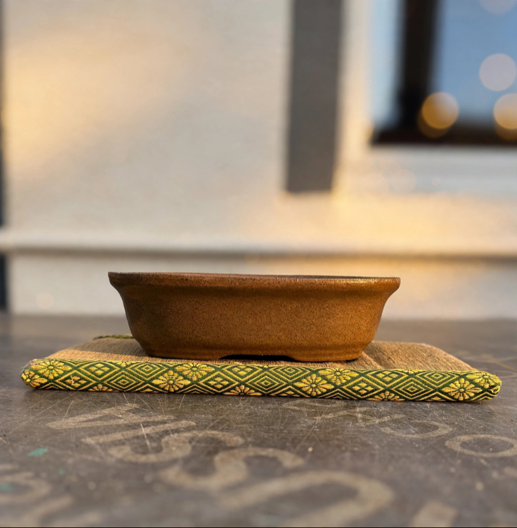 Stoneware Sırlı Seramik Bonsai Saksısı 20 cm