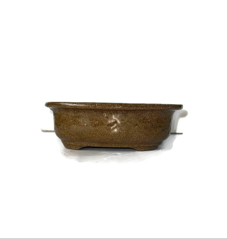Stoneware Sırlı Seramik Bonsai Saksısı