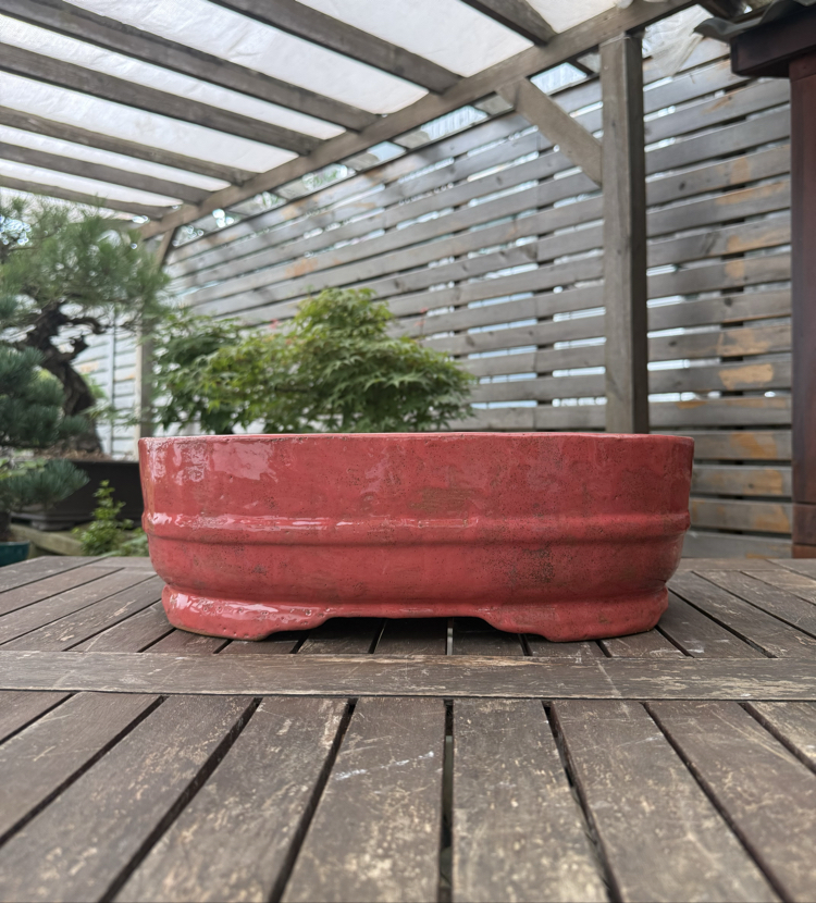 Büyük boy Stoneware Sırlı Bonsai Saksısı 45 cm