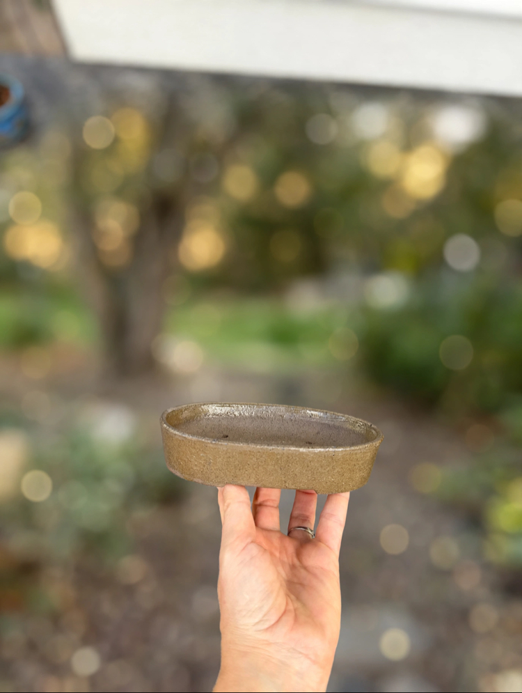 Stoneware Sırlı Seramik Bonsai Saksısı 16 cm