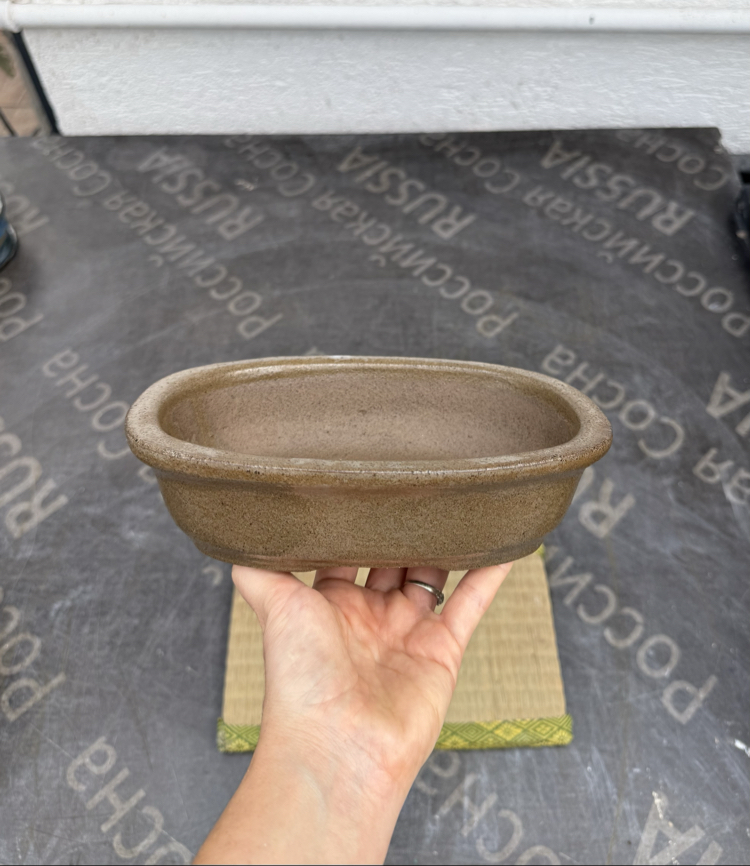 Stoneware Sırlı Seramik Bonsai Saksısı 20 cm