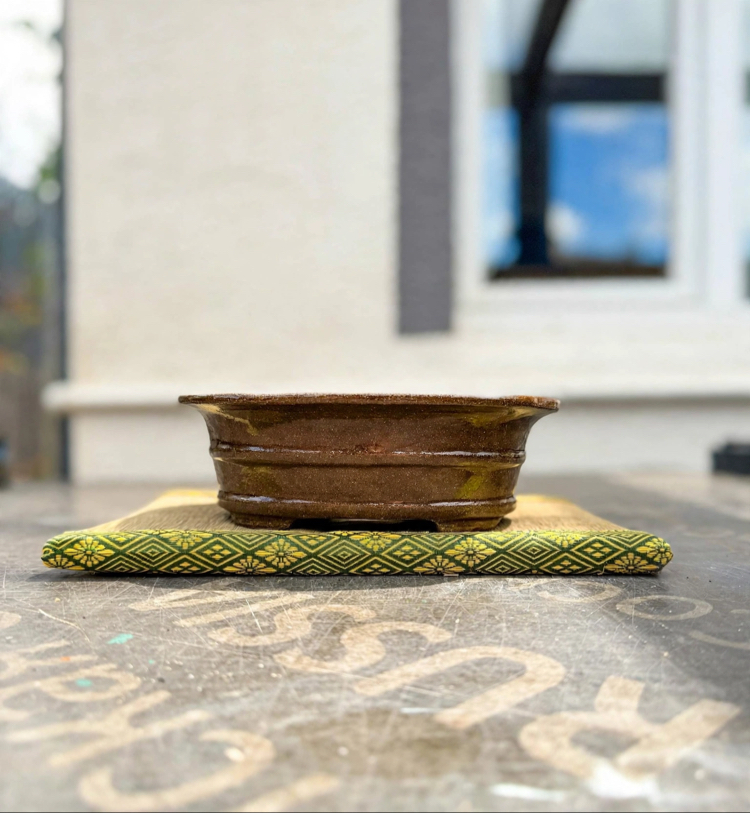 Stoneware Sırlı Seramik Bonsai Saksısı 22 cm