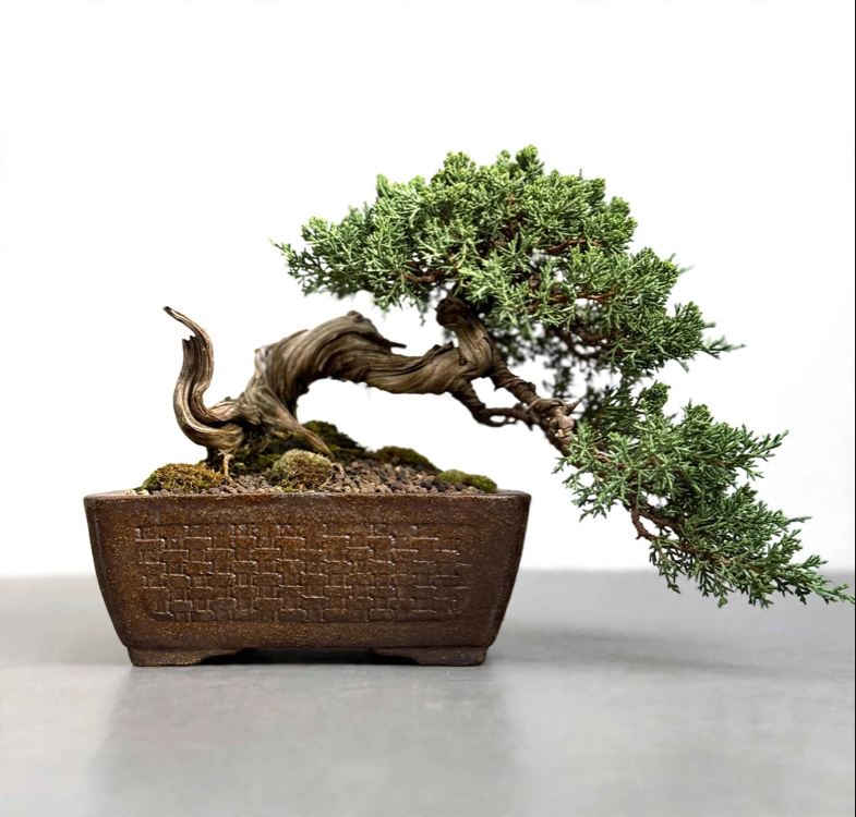 El Yapımı Stoneware Sırlı Seramik Bonsai Saksısı 16 cm