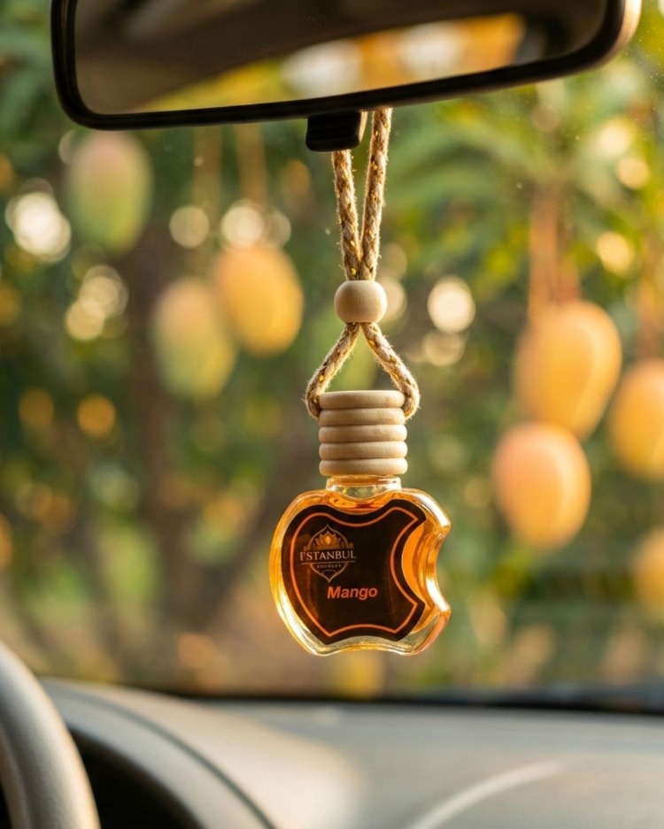 Mango Araç Kokusu