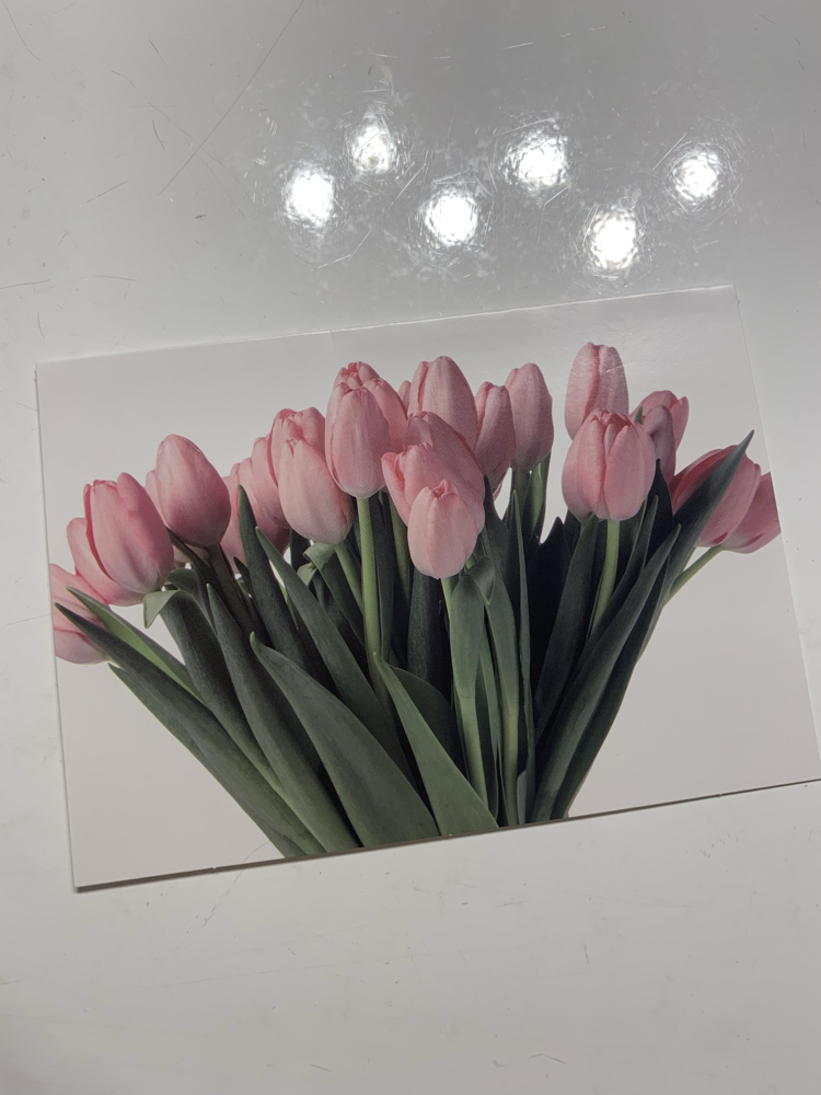 Laleler Zarflı Kartpostal