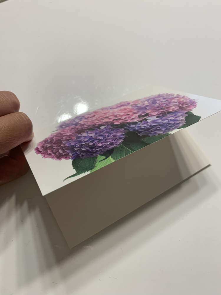 Ortancalar Zarflı Kartpostal