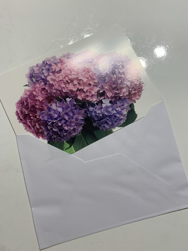 Ortancalar Zarflı Kartpostal