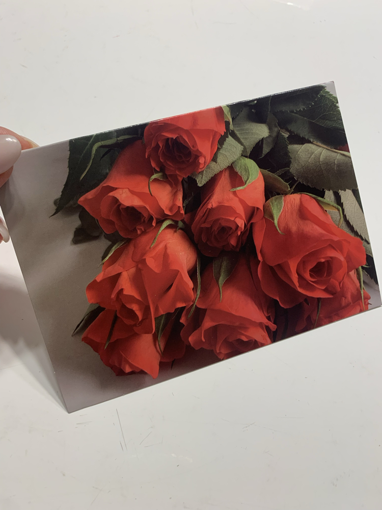 Güller Zarflı Kartpostal