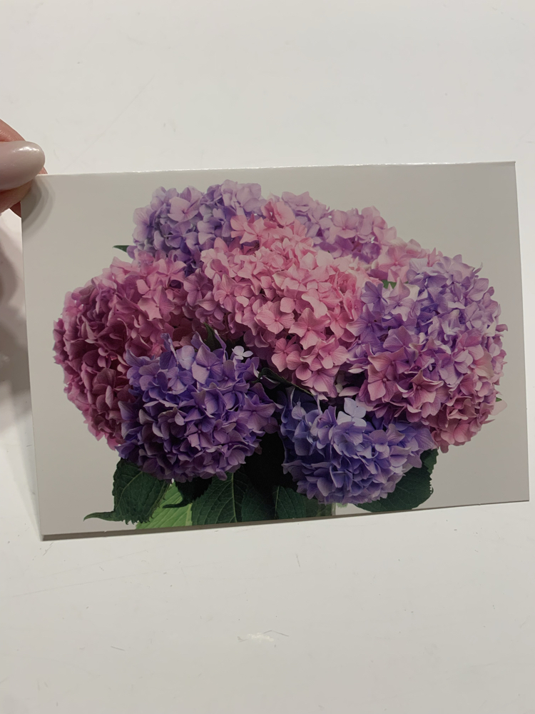 Ortancalar Zarflı Kartpostal