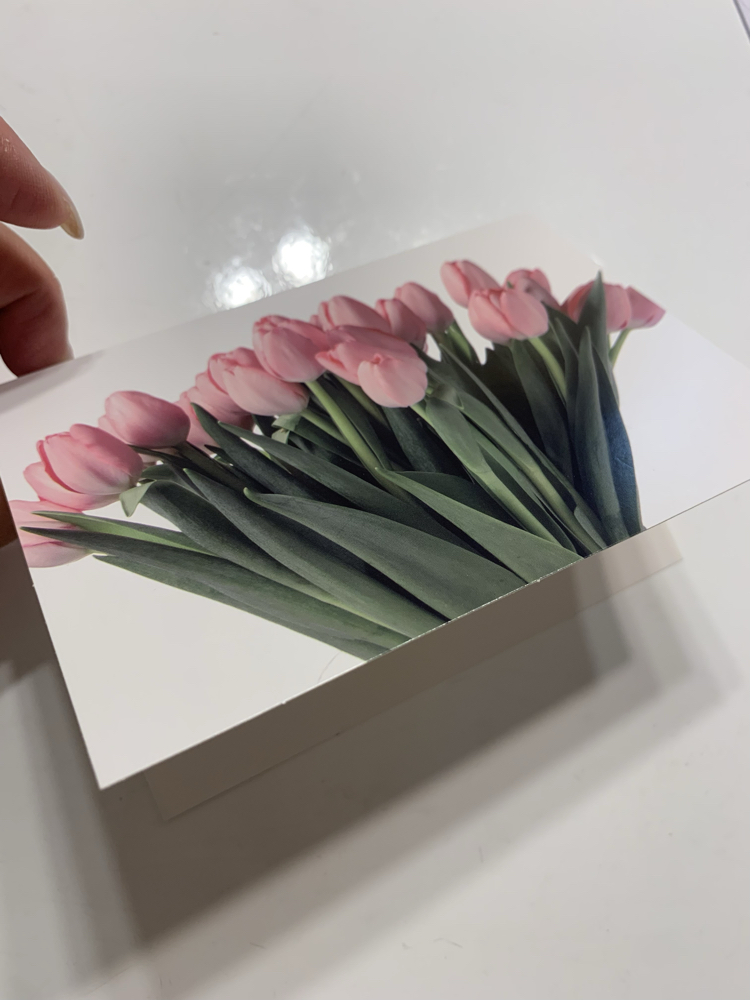 Laleler Zarflı Kartpostal
