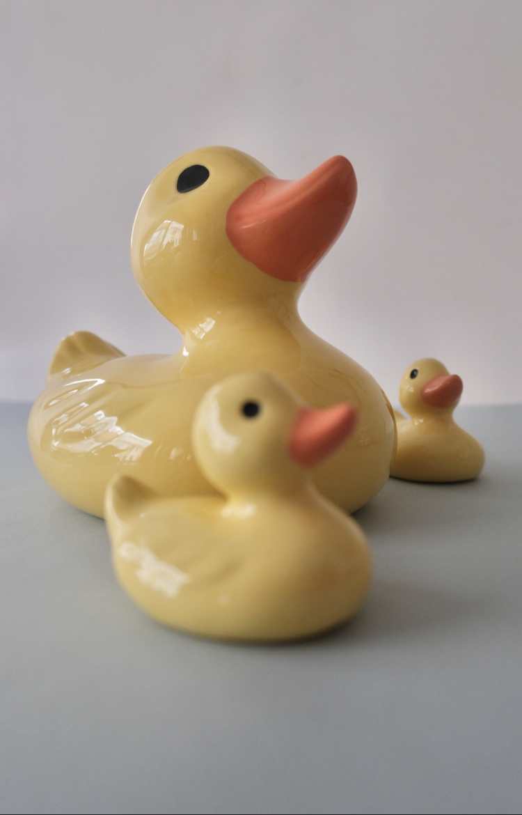 The Duck Family
