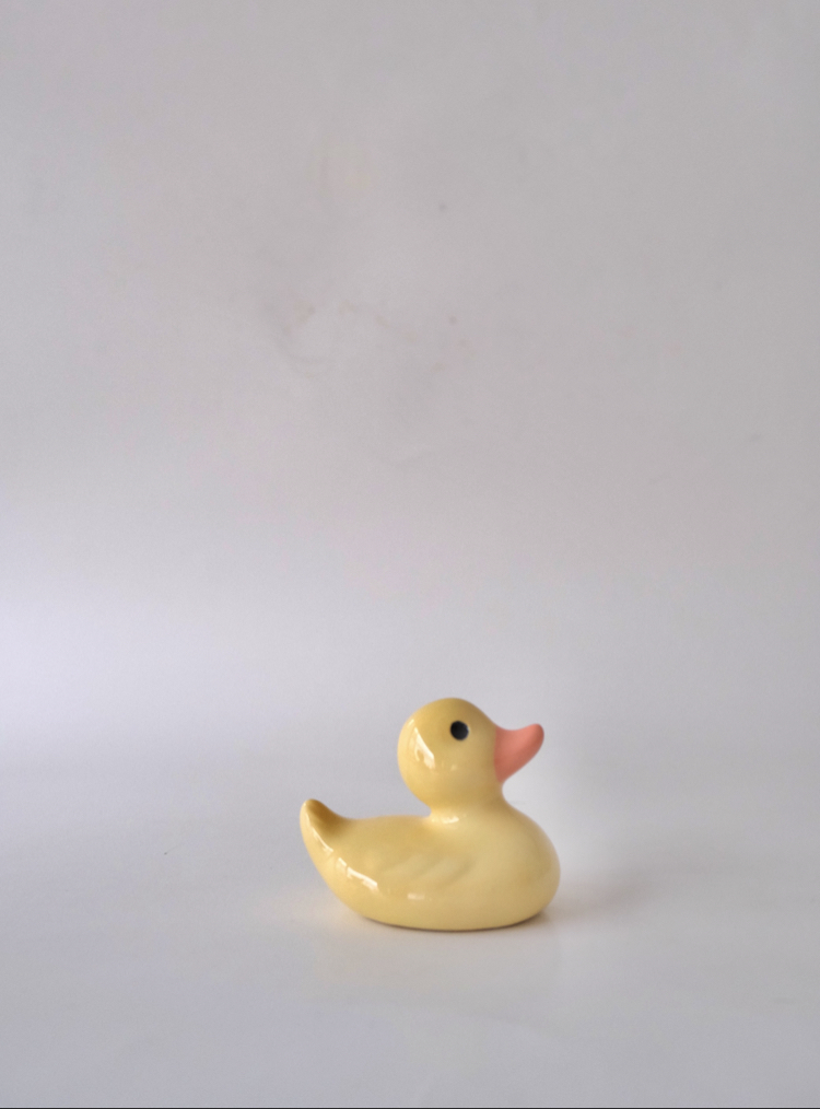 The Smol Duck