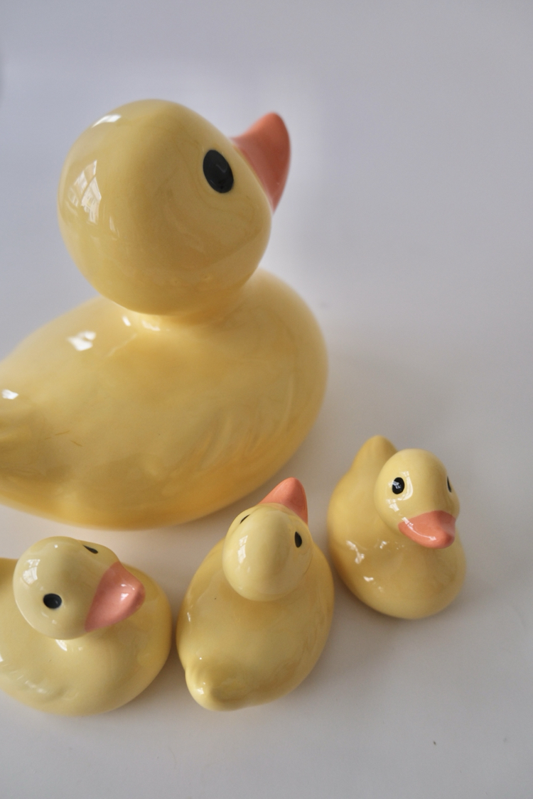 The Smol Duck