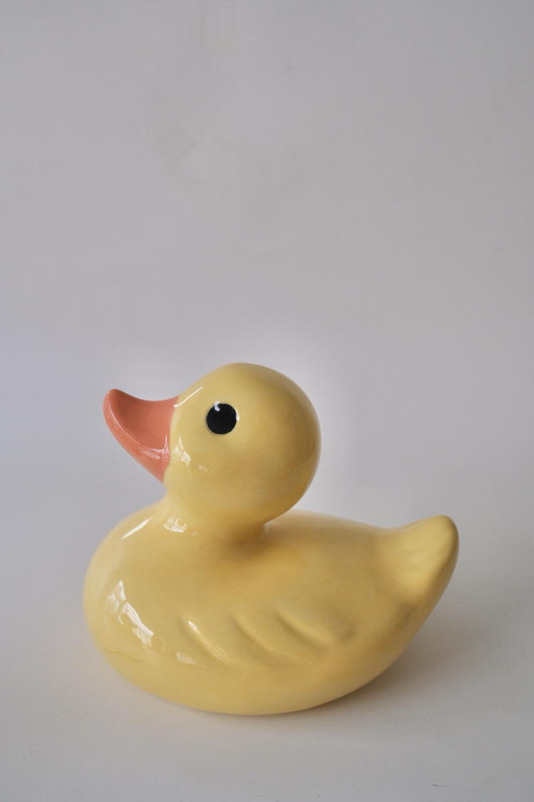 The Big Duck