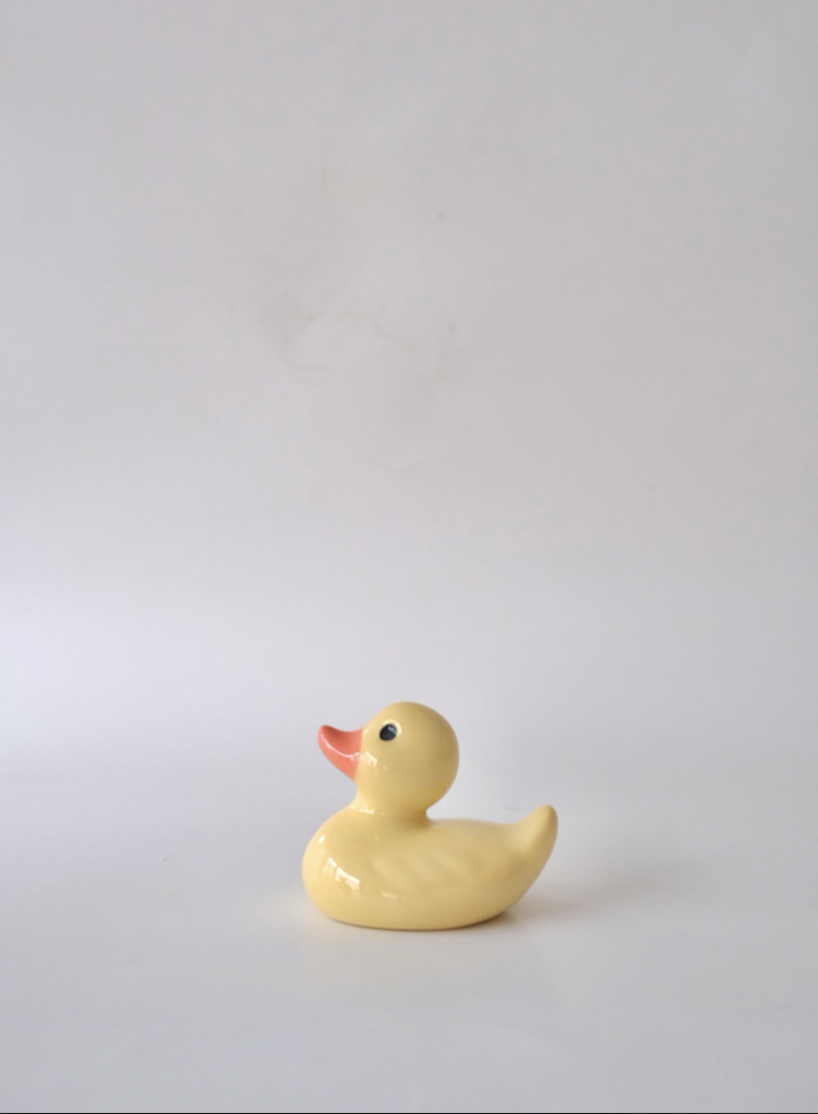 The Smol Duck