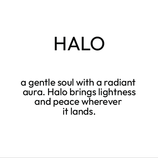 Halo